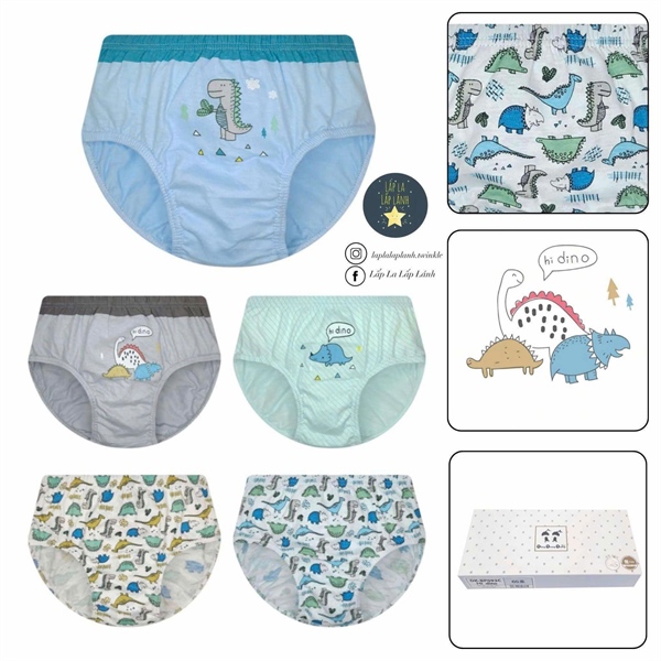 Dingdongdang Set quần chip 5p HiDino size 70