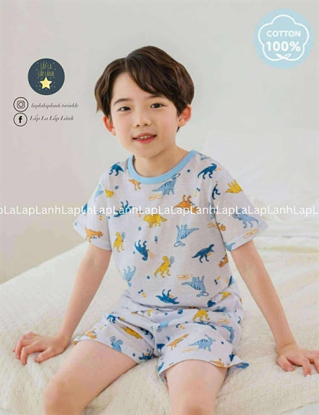 Ppippilong Homewear Party Dino