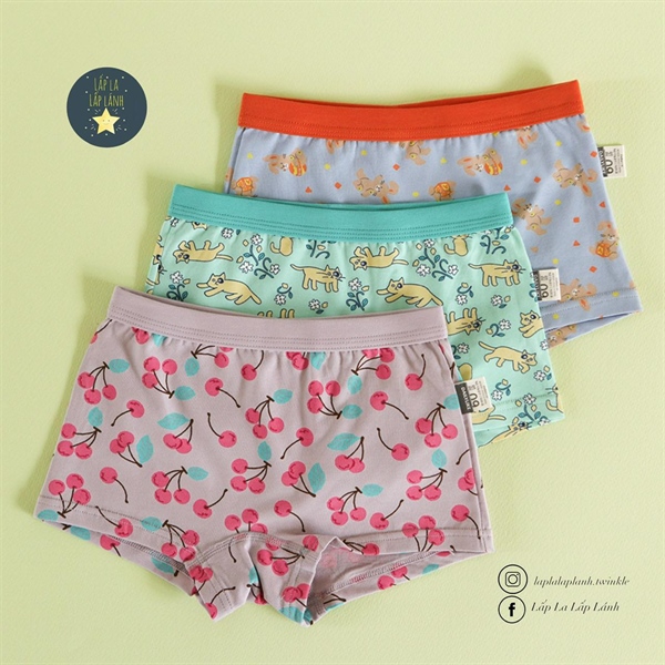 Dailylike Set quần chip girl 5 size 60 3-4y