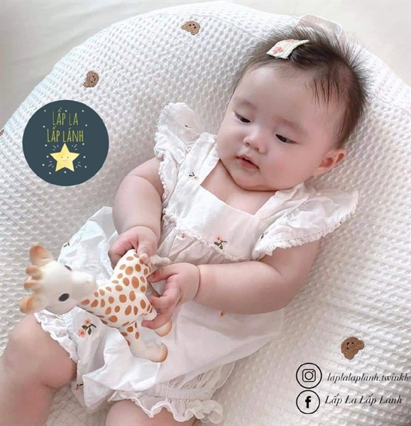 Rototobebe Vỏ gối chống trào AIRMESH Gấu nâu