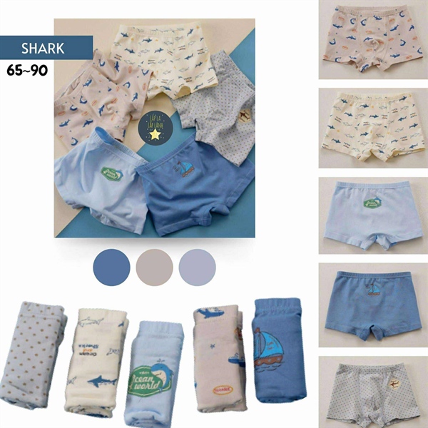 Bulledor Set quần chip 5p Shark size 80