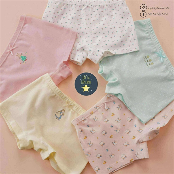 Bulledor Set chip đùi 5p Day cat size 70