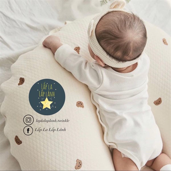 Rototobebe Vỏ gối chống trào Gấu nâu