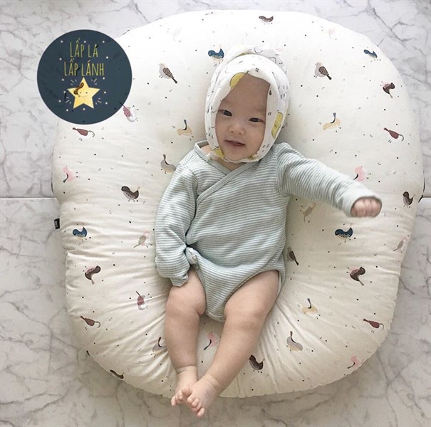 Rototobebe Vỏ gối chống trào Chim sẻ