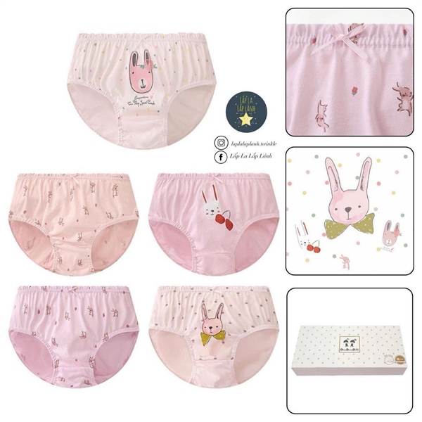 Dingdongdang Set quần chip 5p Thỏ hồng size 75