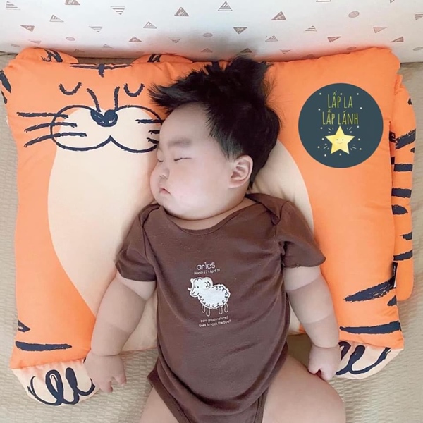 Aribebe Gối Hổ Cam