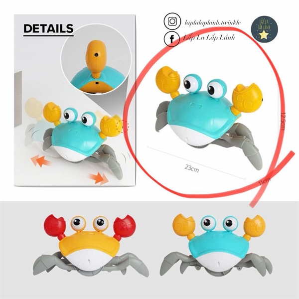 LittleCloud Con cua bò ngang Xanh