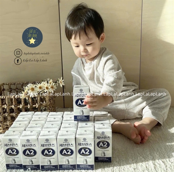 Yonsei Sữa tươi đạm A2 vị tự nhiên THÙNG 24 hộp 125ml date 09/3/2026