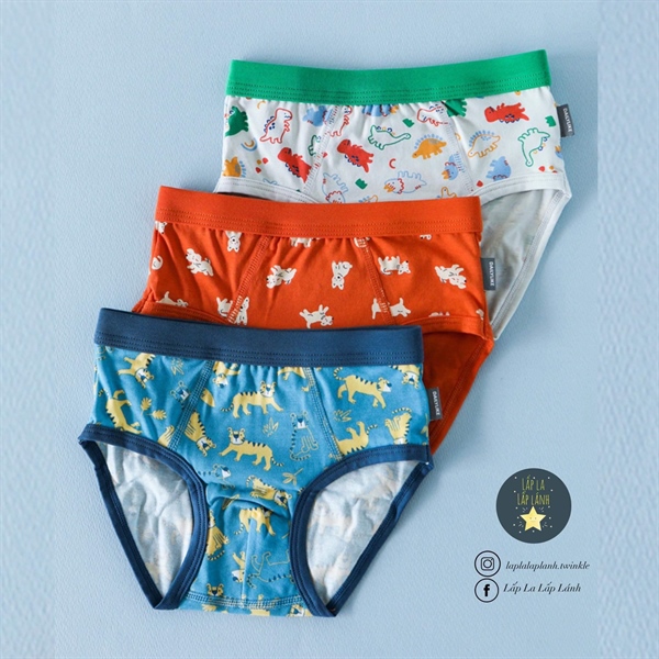 Dailylike Set quần chip tam giác Boy 1 size 60 3-4y
