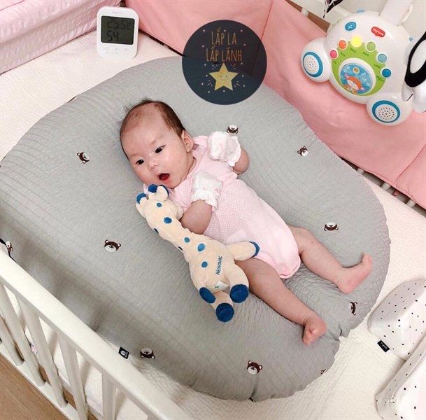 Rototobebe Vỏ gối chống trào Gấu xám