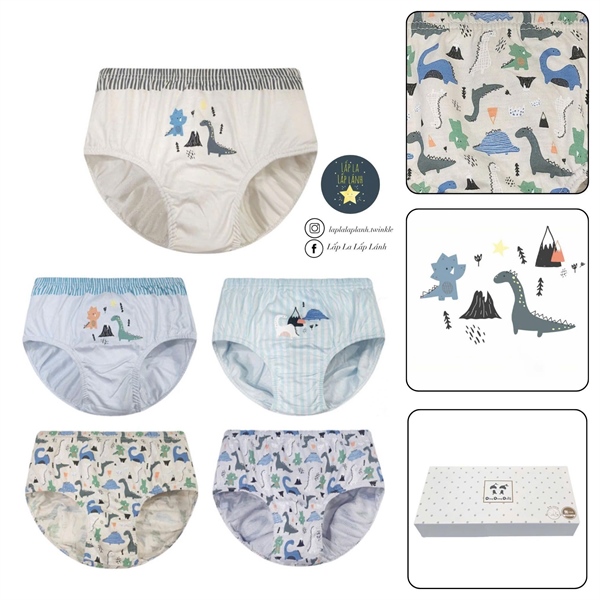 Dingdongdang Set quần chip 5p Khủng long size 65