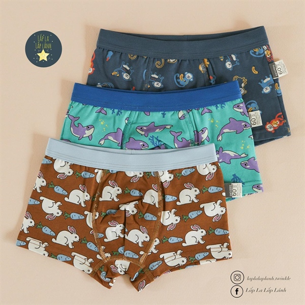 Dailylike Set quần chip boy 5 size 65 4-5y