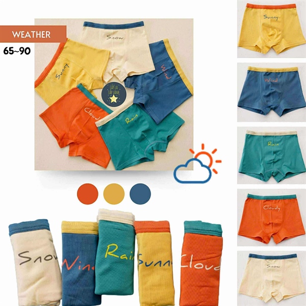 Bulledor Set chip đùi 5p Weather size 85