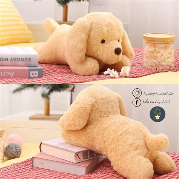 Naradecohome Cún vàng nâu 35x17cm